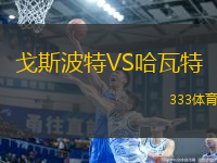 戈斯波特VS哈瓦特