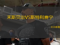 禾斯貝治VS斯特利費寧