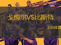 戈梅爾VS比斯特