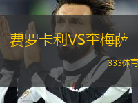 費羅卡利VS奎梅薩