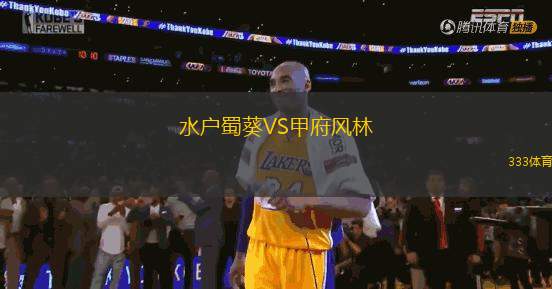 水戶蜀葵VS甲府風(fēng)林