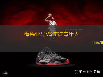 梅德亞馬VS使徒青年人