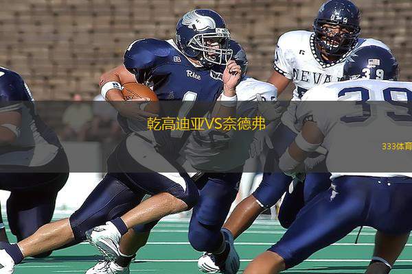 乾高迪亞VS奈德弗