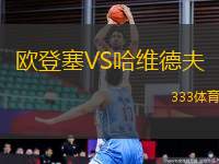 歐登塞VS哈維德夫