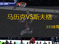 馬歷克VS斯夫格