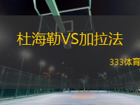 杜海勒VS加拉法