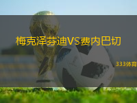 梅克澤芬迪VS費(fèi)內(nèi)巴切