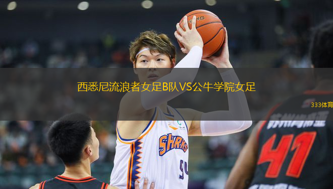 西悉尼流浪者女足B隊VS公牛學(xué)院女足