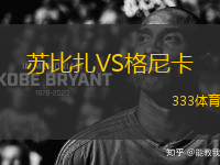 蘇比扎VS格尼卡