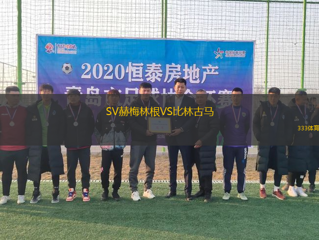 SV赫梅林根VS比林古馬