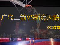 廣島三箭VS新潟天鵝