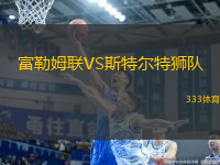 富勒姆聯(lián)VS斯特爾特獅隊