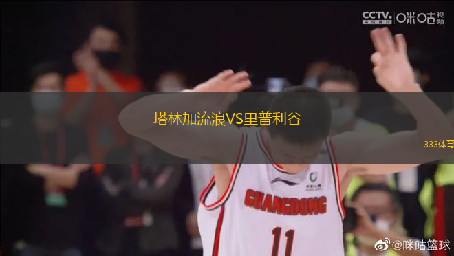 塔林加流浪VS里普利谷