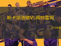 斯卡哈迪德VS佩特雷姆