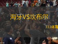 海牙VS坎布爾