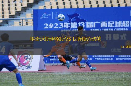 埃奇沃斯伊格斯VS韋斯頓勞動熊