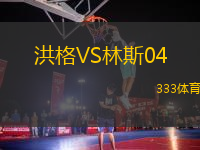 洪格VS林斯04