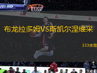 布龍拉多姆VS斯凱爾涅維采