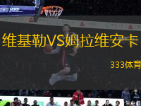 維基勒VS姆拉維安卡