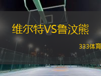 維爾特VS魯汶熊