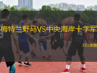 梅特蘭野馬VS中央海岸十字軍