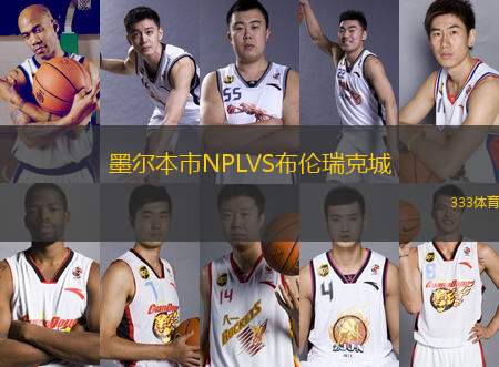 墨爾本市NPLVS布倫瑞克城