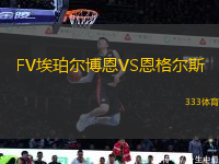 FV埃珀爾博恩VS恩格爾斯