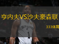 亨內(nèi)夫VS沙夫豪森聯(lián)