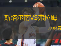 斯塔爾南VS弗拉姆