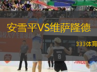 安雪平VS維薩隆德