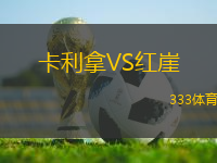 卡利拿VS紅崖