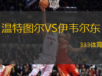 溫特圖爾VS伊韋爾東