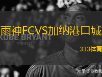 雨神FCVS加納港口城