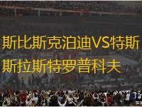 斯比斯克泊迪VS特斯拉斯特羅普科夫