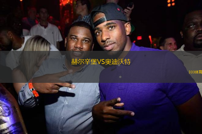 赫爾辛堡VS奧迪沃特