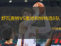 舒瓦查特VS奧地利特特選B隊(duì)