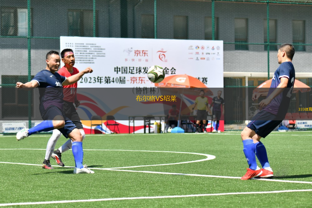 布爾格VS紹萊