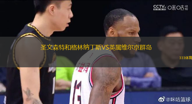 圣文森特和格林納丁斯VS英屬維爾京群島
