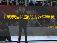 卡萊羅波托西VS皮欽查精靈